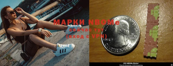 стафф Осташков