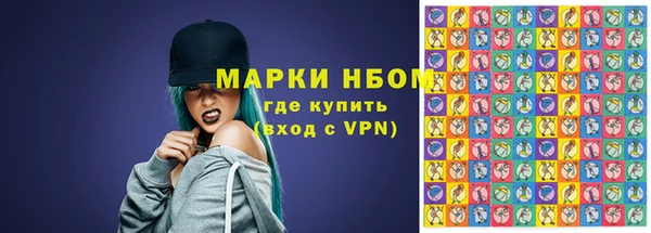 стафф Осташков