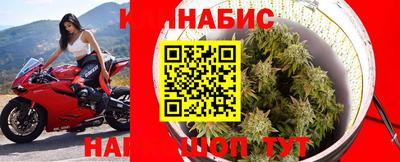apvp Краснодар
