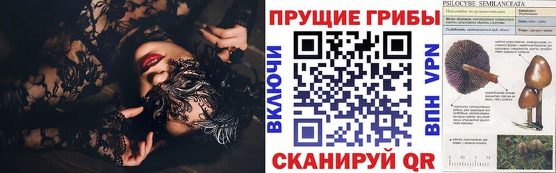 Галлюциногенные грибы ЛСД Пятигорск