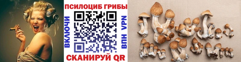 Галлюциногенные грибы ЛСД Пятигорск
