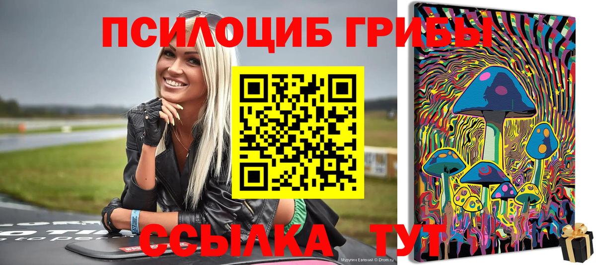 Псилоцибиновые грибы MAGIC MUSHROOMS  Вход с VPN  Пятигорск  Галлюциногенные грибы Cubensis 